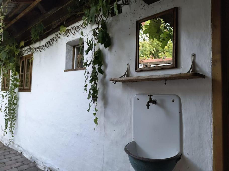 Chaloupka U Mostu Sv Jana V Centru Vodnan Vodňany Exteriér fotografie